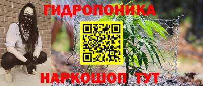 Альфа ПВП Гатчина