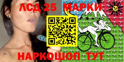 Альфа ПВП Гатчина