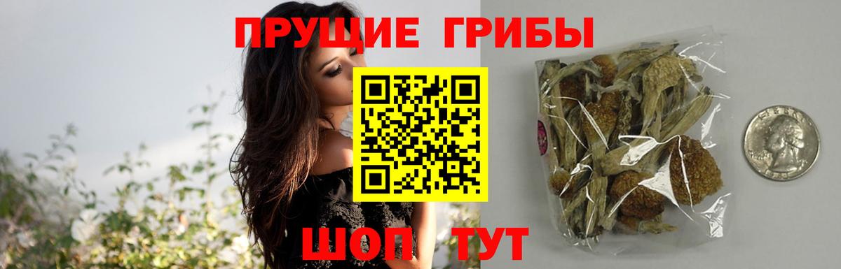 хочу   Галлюциногенные грибы Cubensis  Новокузнецк  Вход с VPN  Псилоцибиновые грибы MAGIC MUSHROOMS 